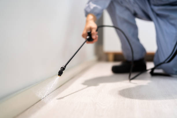 Licensed Pest Control service in Johnson City, TN - Show Me Pest Control