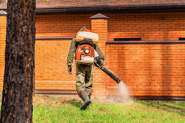 Top rated local Ant Control specialists in Johnson City, TN